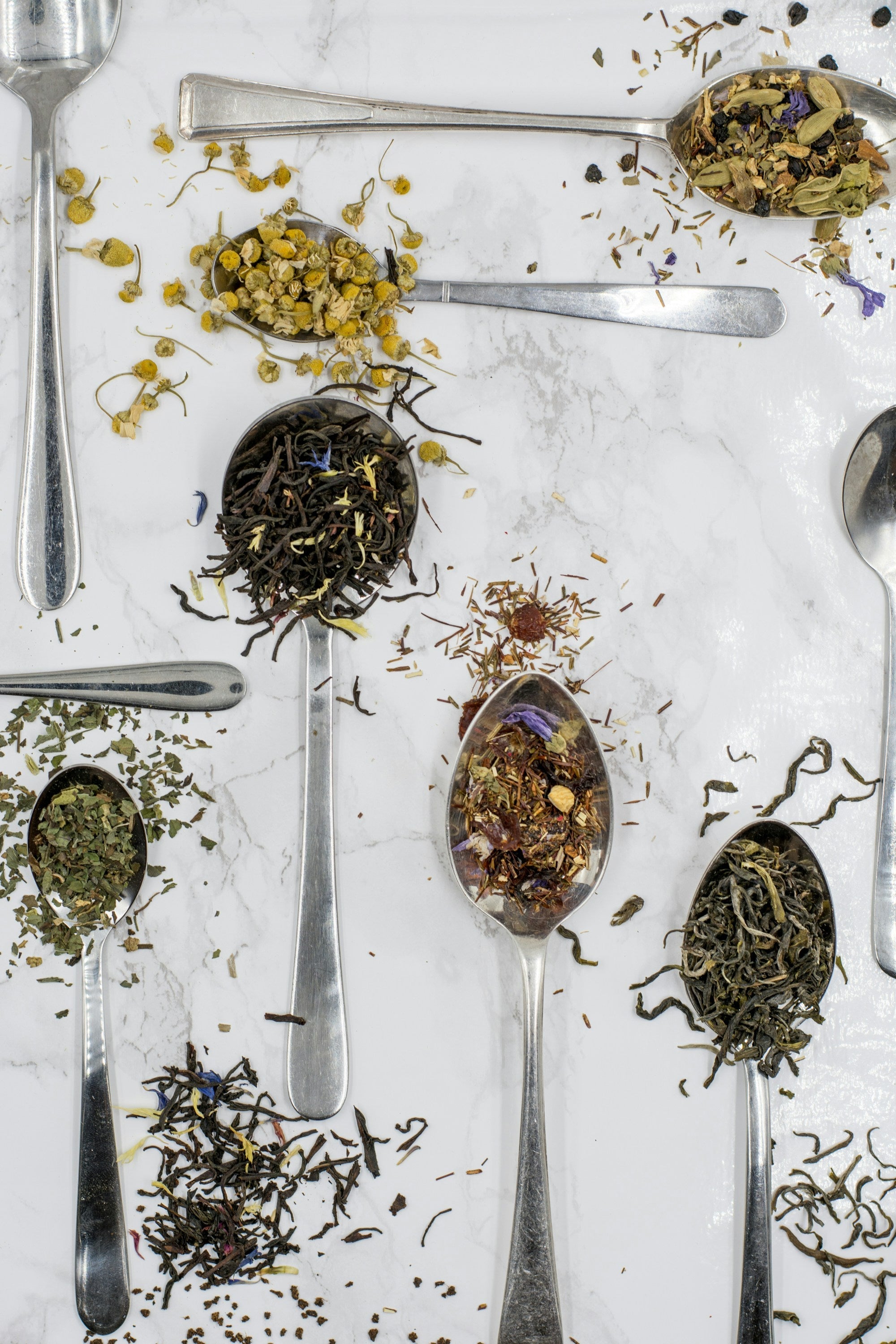 Thé et Infusions