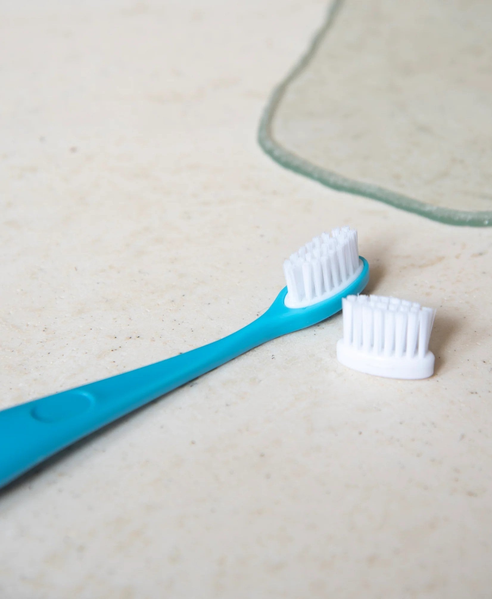 Brosse à dents Tête rechargeable Enfants Les Bons Plans du Châtelain