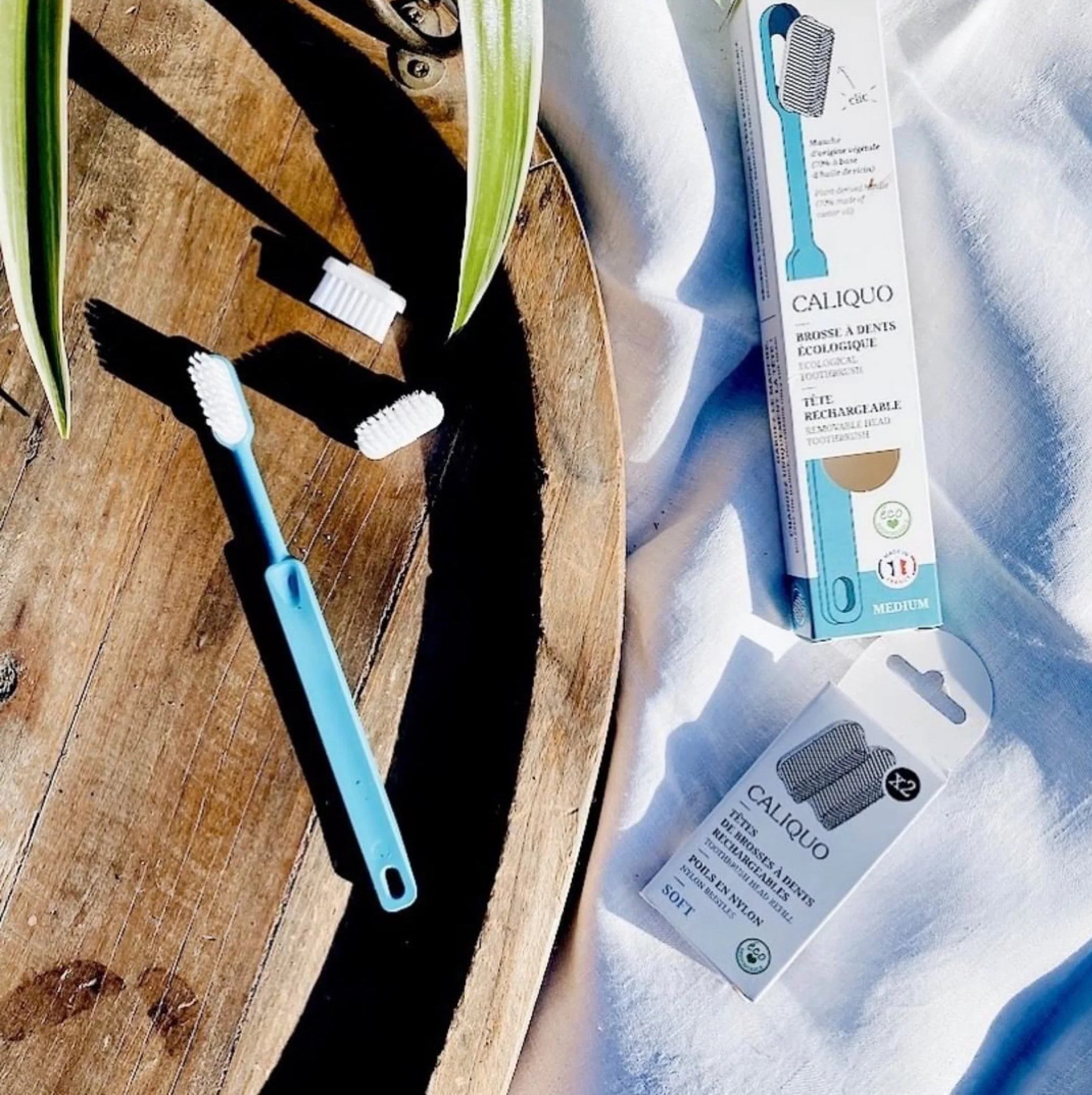 Brosse à dents Tête rechargeable Les Bons Plans du Châtelain